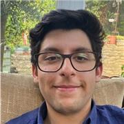 GCSE // IGCSE // A levels // IB - Maths Experienced Tutor